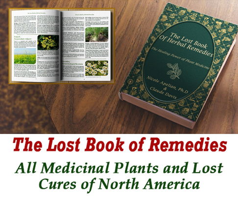 Book Of Herbal Remedies
