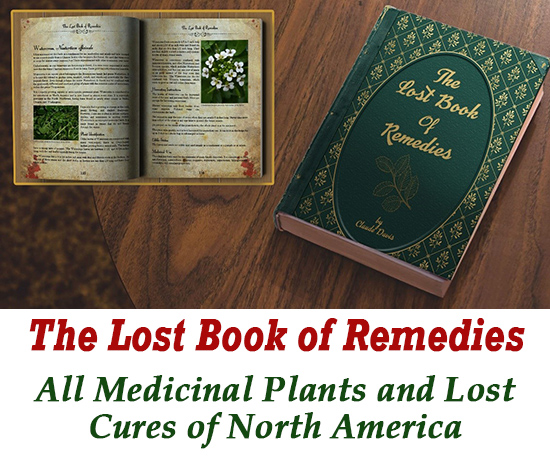 The Lost Book of Remedies