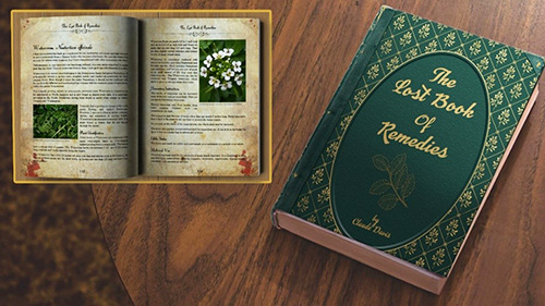 The Lost Book of Remedies